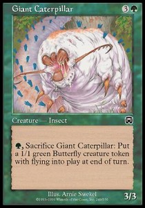 Oruga gigante / Giant Caterpillar