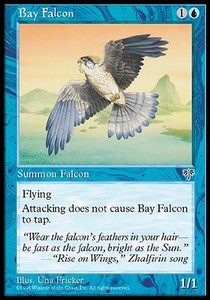 Halcon de la bahia / Bay Falcon