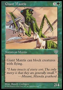 Mantis gigante / Giant Mantis