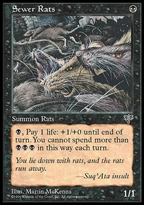 Ratas de alcantarilla / Sewer Rats
