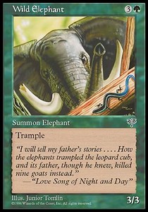 Elefante salvaje / Wild Elephant