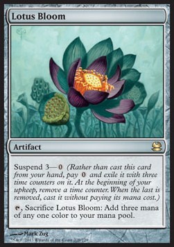Florecimiento del loto / Lotus Bloom