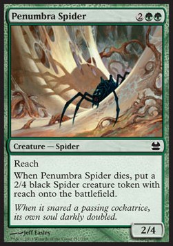 Araña Penumbra / Penumbra Spider
