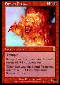 Gato de fuego salvaje / Savage Firecat