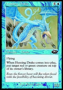 Draco Cazador / Hunting Drake