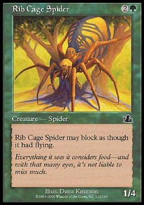 Araña Costillar / Rib Cage Spider