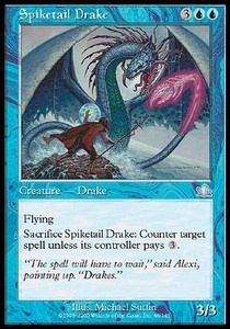 Draco Colapua / Spiketail Drake