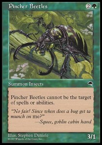 Escarabajos de tenazas / Pincher Beetles
