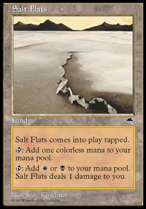 Planicies salinas / Salt Flats
