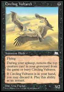 Buitres al acecho / Circling Vultures