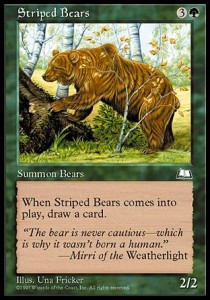 Osos atigrados / Striped Bears