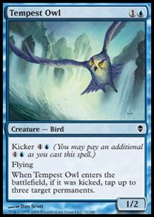 Búho de la Tempestad / Tempest Owl